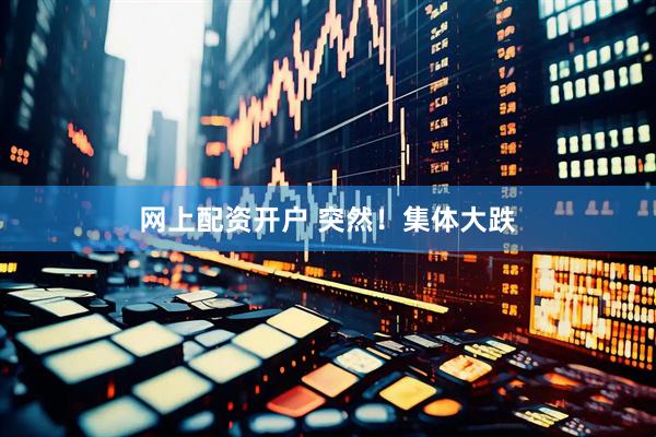 网上配资开户 突然！集体大跌